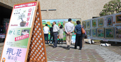 花フェスタ・６