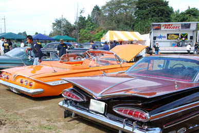 おかべコスモス2008・７