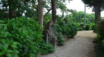 保安寺あじさい2011・９