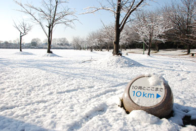 雪の別府沼公園・８