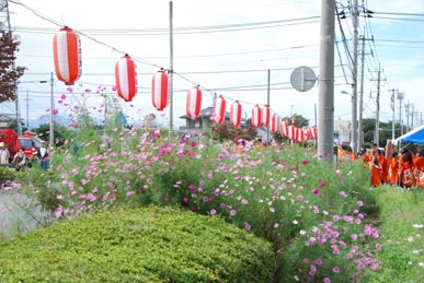 おかべコスモス2008・８