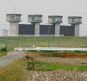 プルメリアに行く道・１