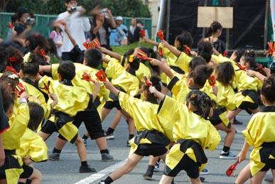 おかべコスモス2008・９