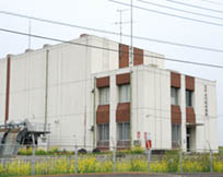 プルメリアに行く道・２