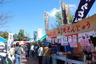 花フェスタ・８