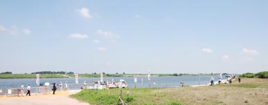 葛和田・大杉神社あばれ神輿090726・５.JPG