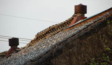 七ツ梅酒造　屋根