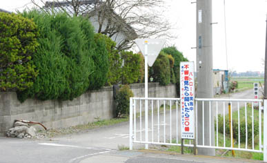 プルメリアに行く道・３