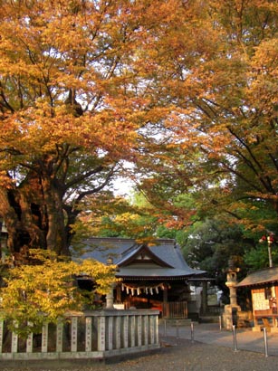 高城神社紅葉３