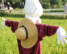 三ヶ尻の案山子・３