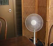 さくら茶寮　扇風機