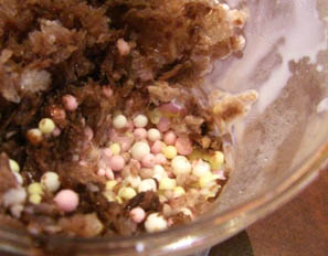 シネティアラ雪くま・３