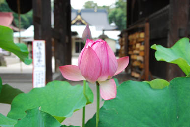 第６回手づくり市・１５