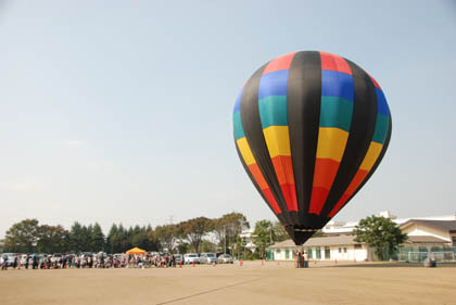 おかべコスモス祭2011・２