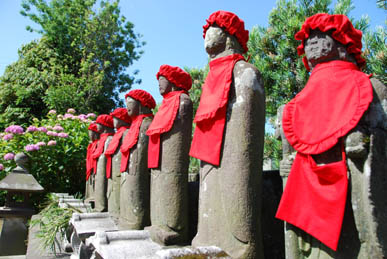 能護寺あじさい６