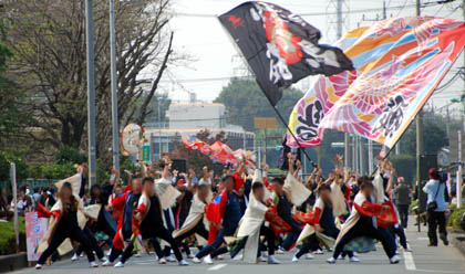 おかべコスモス祭2011・１０