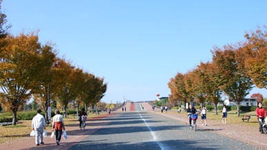 熊谷市産業祭2010・１６