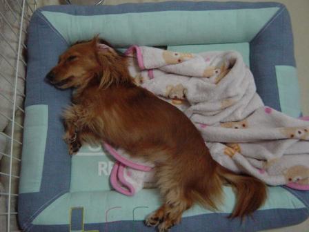 DSC09021.JPG