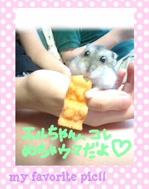 えるるの食いしん坊万歳♪