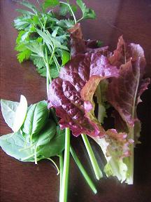 PICT0241a.JPG