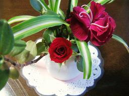 PICT0388a.JPG