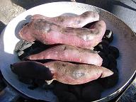 PICT0075a.JPG