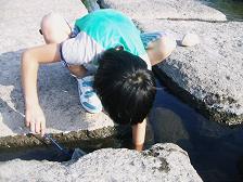 PICT0166w.JPG