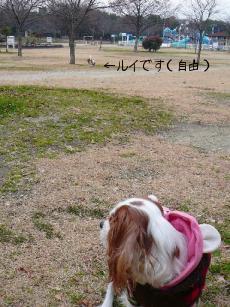 画像 156.jpg