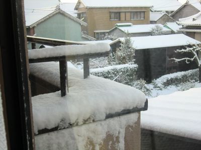 2011,1,17,雪