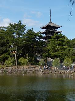 DSCN1697.JPG