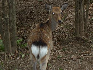 DSCN1677.JPG