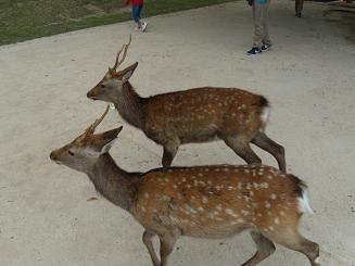 DSCN1671.JPG