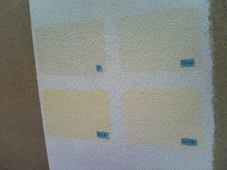 カラーサンプル１