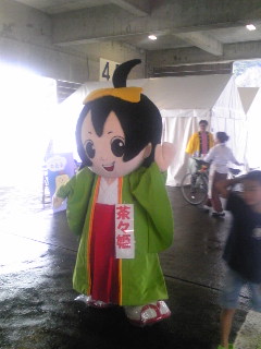 茶々姫