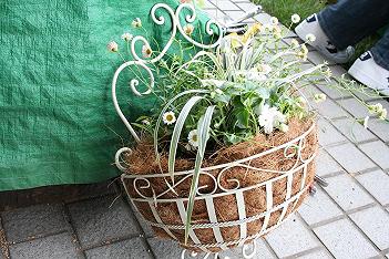 IMG_4298.jpg