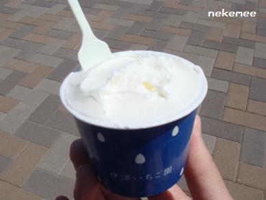 道の駅ｼﾞｪﾗｰﾄ