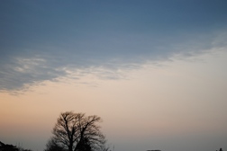 空