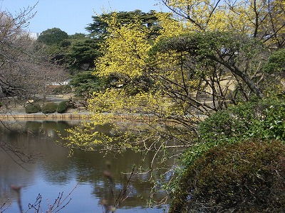 080318