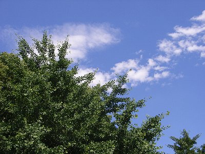 160607-4