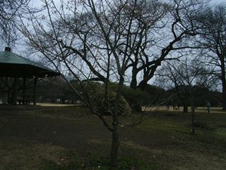 131209-6