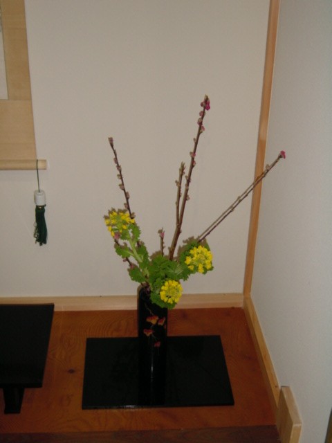 桃の花