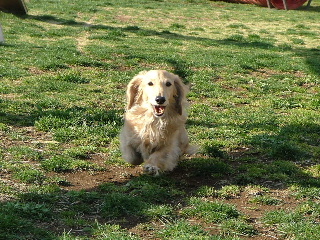 2007_03300195-1.JPG