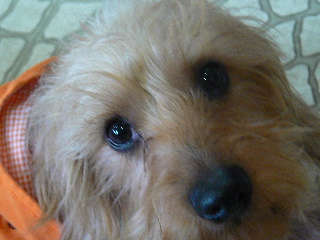 P1040501-1.JPG