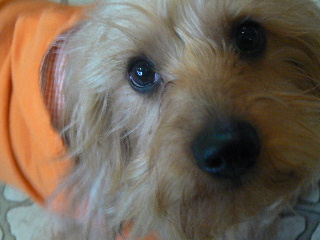 P1040502-1.JPG