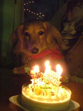 ろうそくの灯りとローズ