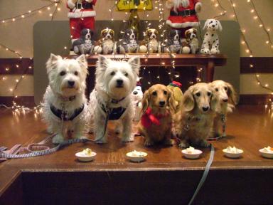 ５▼･。･▼で記念撮影