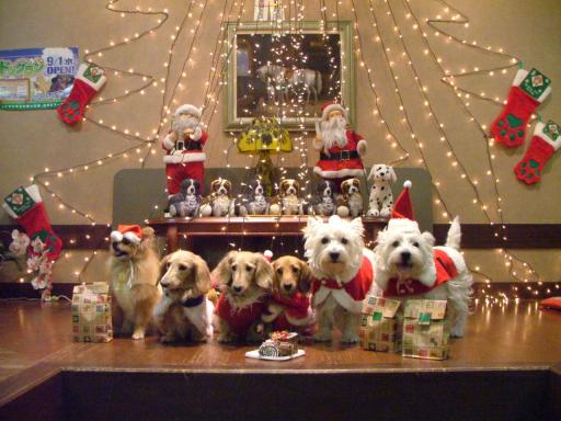 ６ワンとケーキ