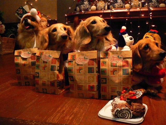 ４ワンとケーキ