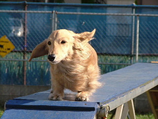 2007_03300144-1.JPG