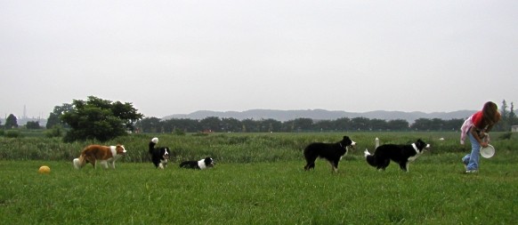 みんなとお散歩～♪